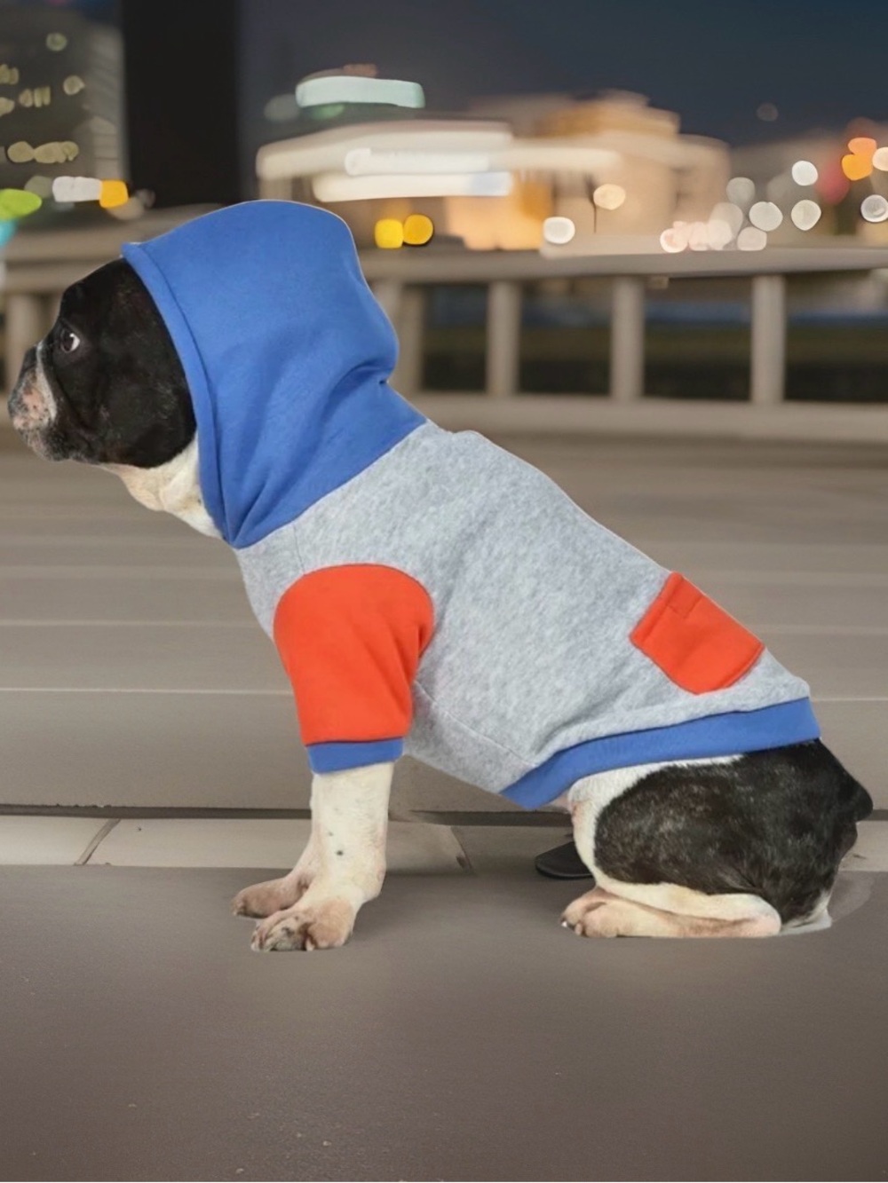 The Dodo Size Large Grey Colorblock Dog Hoodie. New with Tags